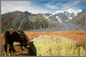 1360_resize Поклонение. У южных склонов Белухи. Большой Алтай.