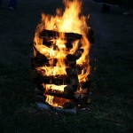 папоротник